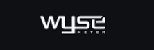 Wyse Meter Solutions
