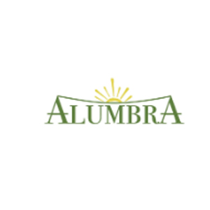 Alumbra - Top Utilities Consulting Companies Alumbra
